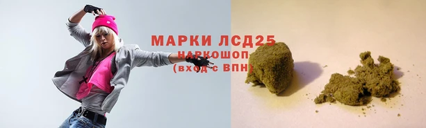 индика Няндома