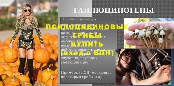 ALPHA PVP Покачи