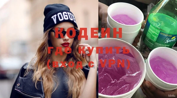 твердый Корсаков