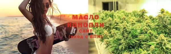 индика Няндома
