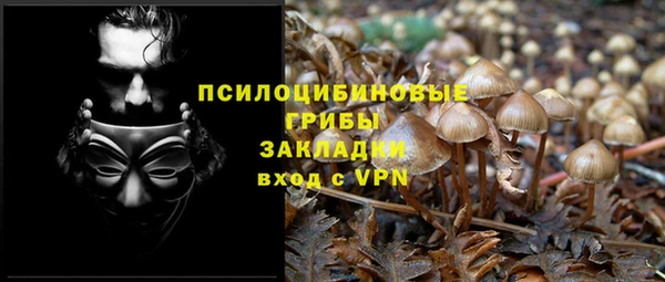 apvp Красноперекопск