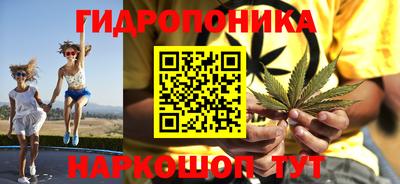 меф Гатчина