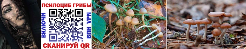 Галлюциногенные грибы Magic Shrooms  Подольск 