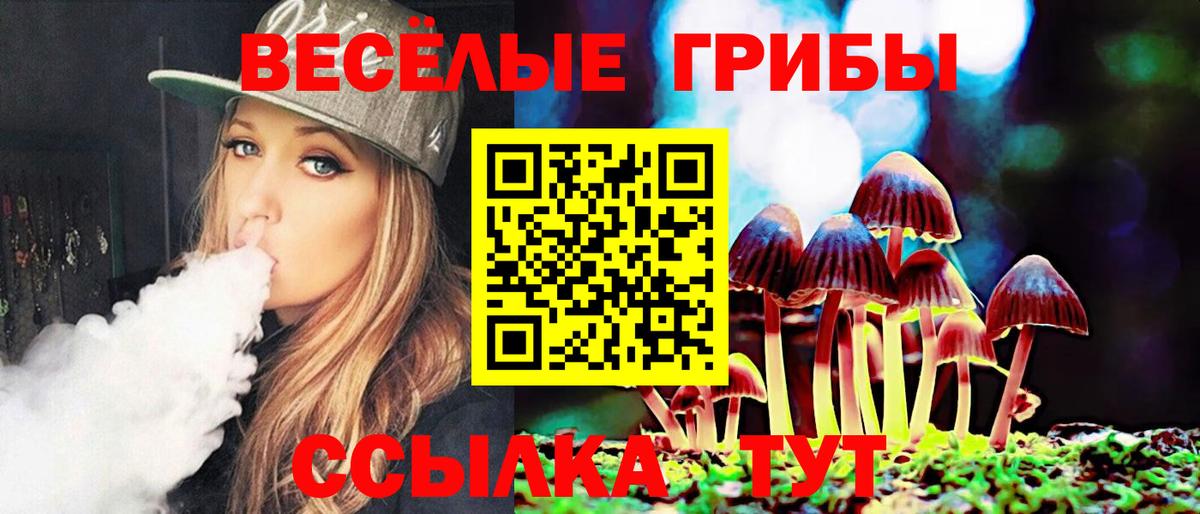 Псилоцибиновые грибы MAGIC MUSHROOMS Подольск